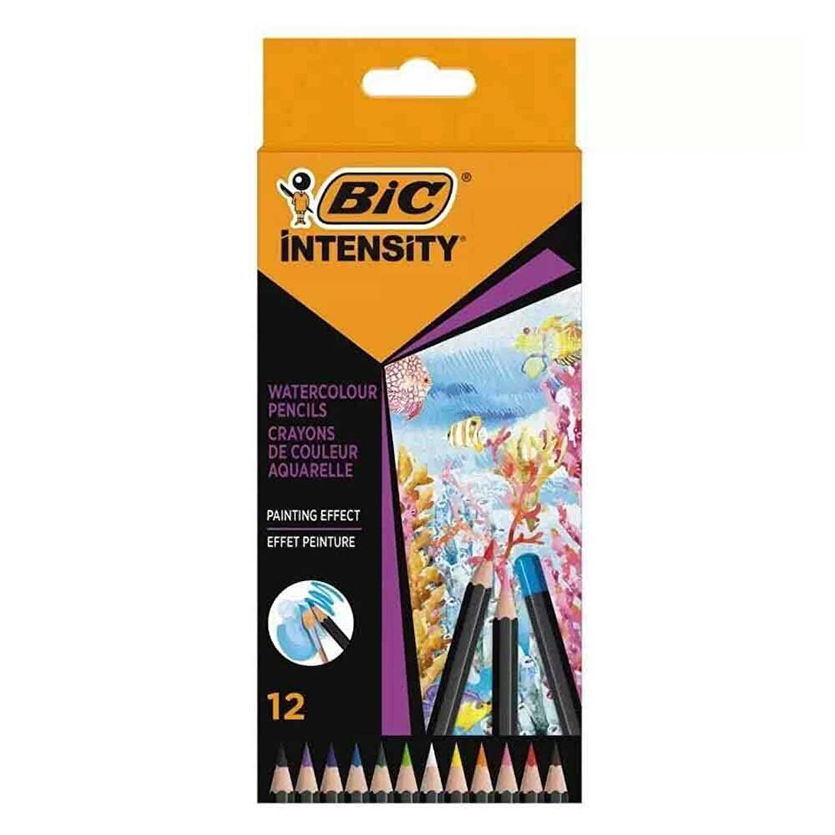 Bic İntensity Aquacouleur Kuru Sulu Boya Kalemi 12 Renk 511726