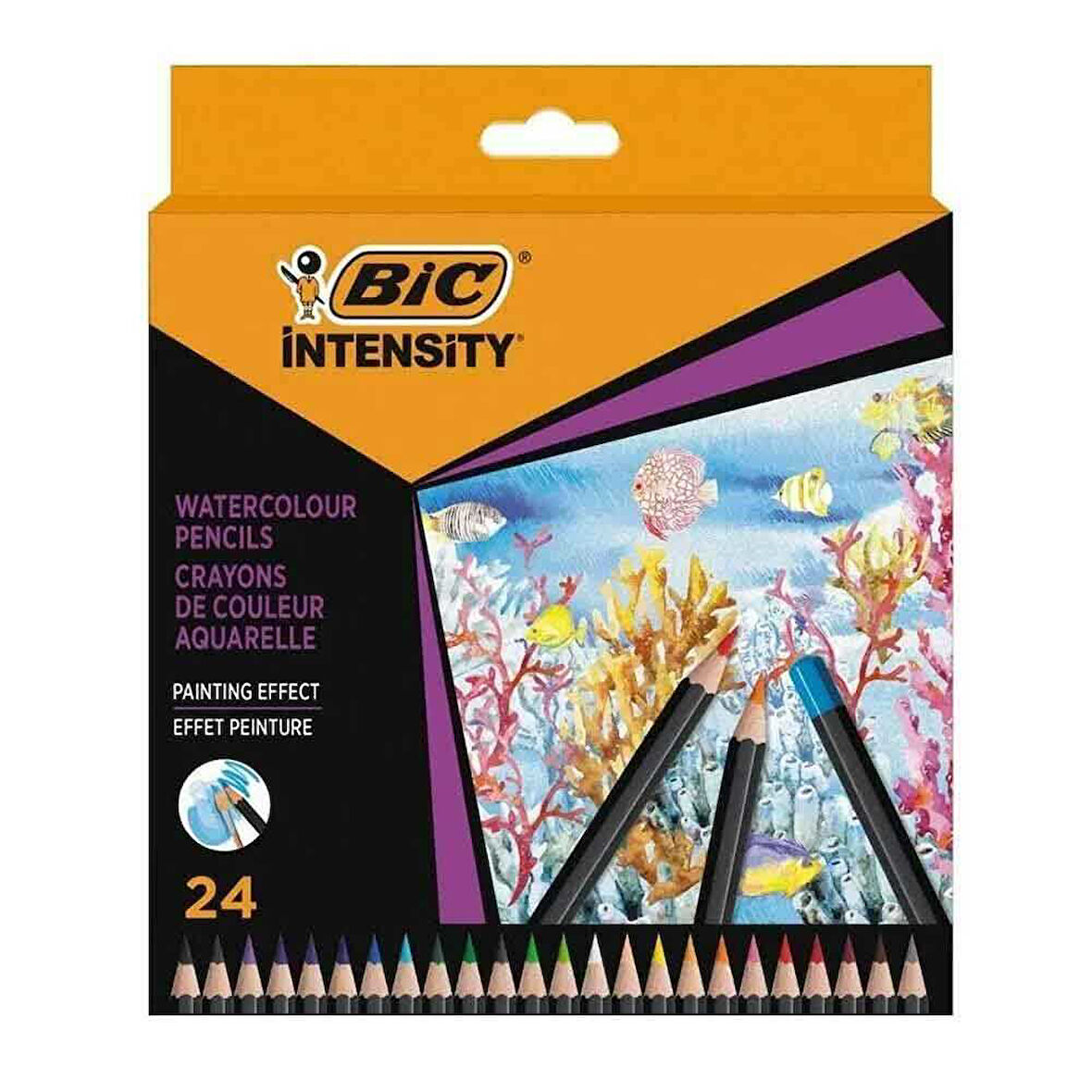 Bic Intensty Kuru Sulu Boya 24 Lü 511727