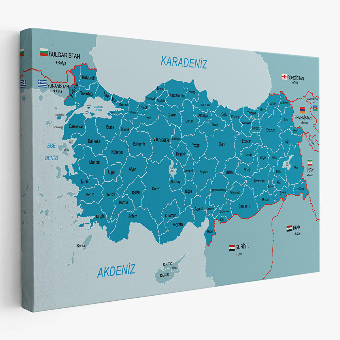 Harita Sepeti Türkiye Haritası Kanvas Tablo Sınır Komşulu Eğitici Dekoratif Tablo 3087