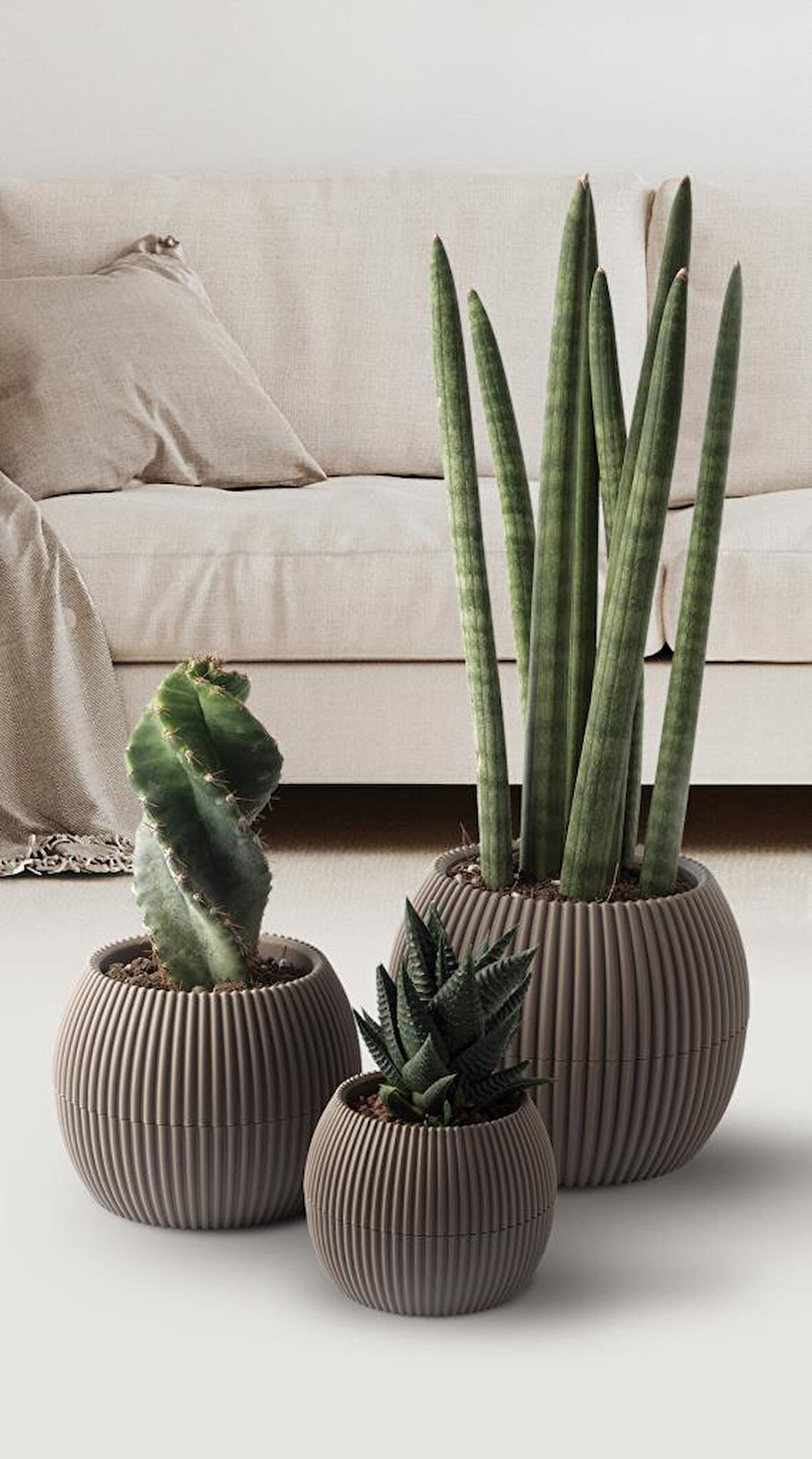 Omnipazar KRS Mercan Dekoratif Sukulent Kaktüs Plastik Saksı Takımı 3'lü Set Kahverengi