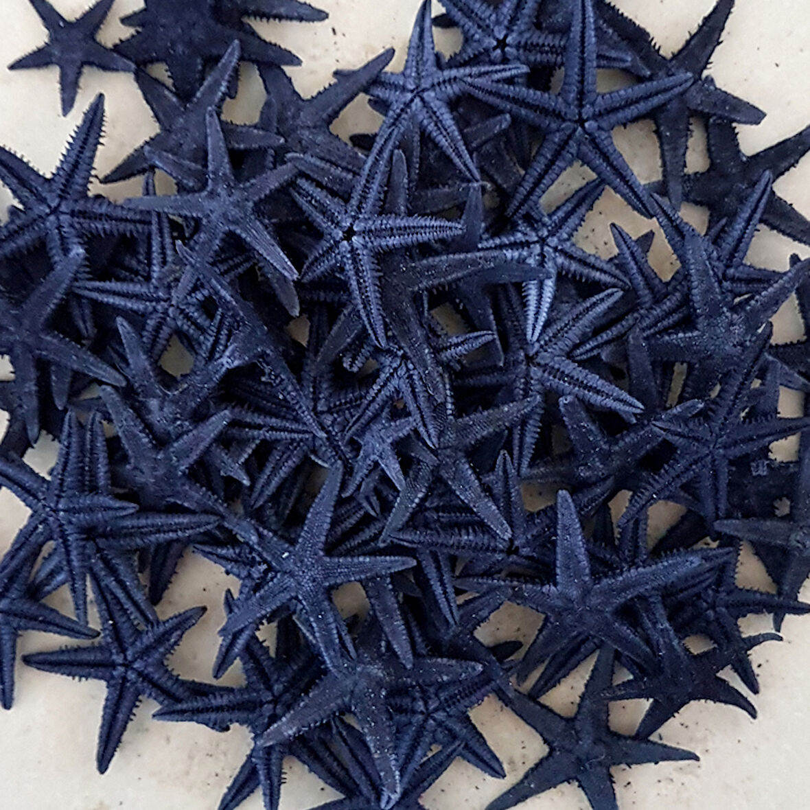 Naturel Deniz Yıldızı Minik Boy  1.5 Cm -3 Cm (100 Adet)  Mavi