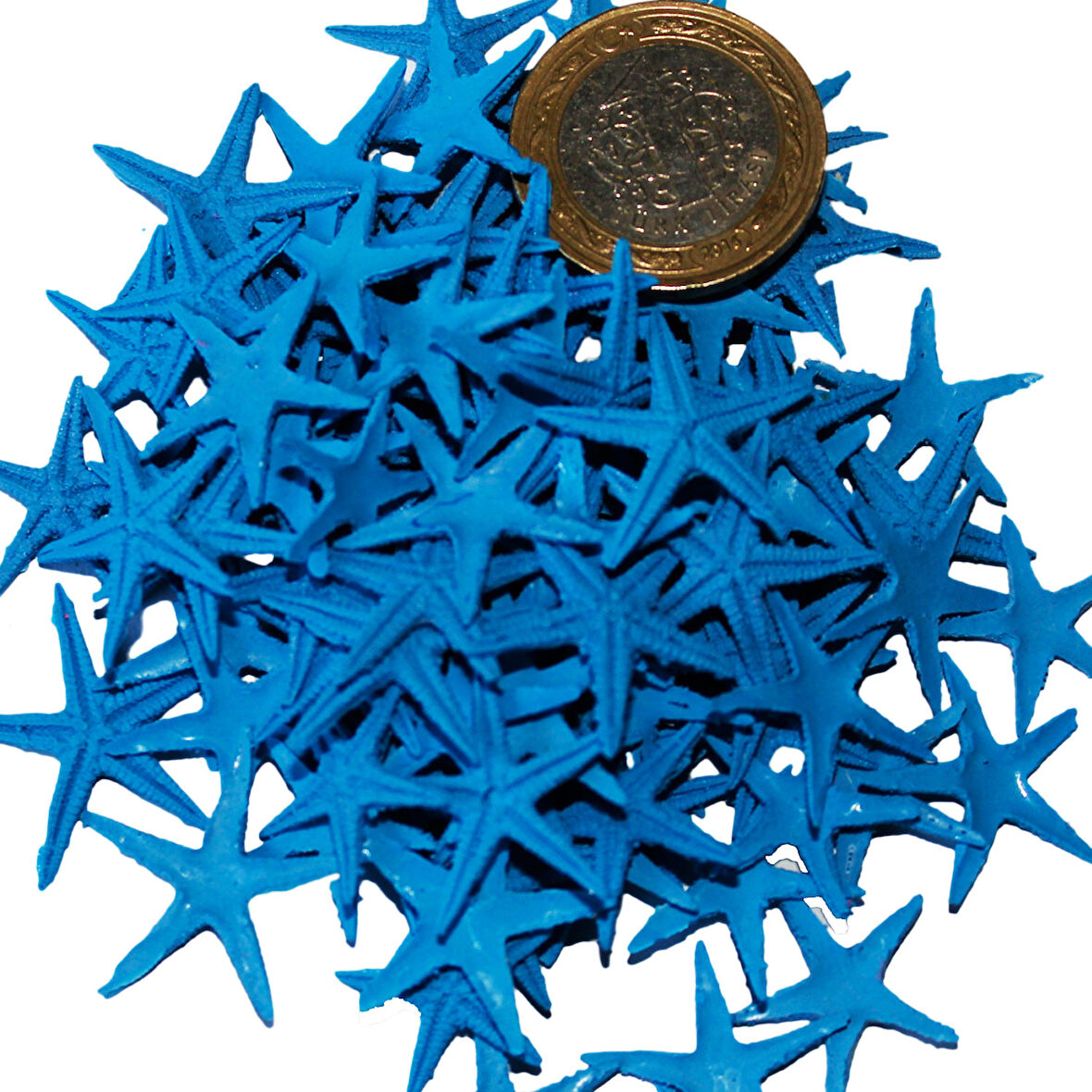 Polyester Deniz Yıldızı Minik Boy  0.5 CM- 1.5 CM (100 Adet)  Mavi