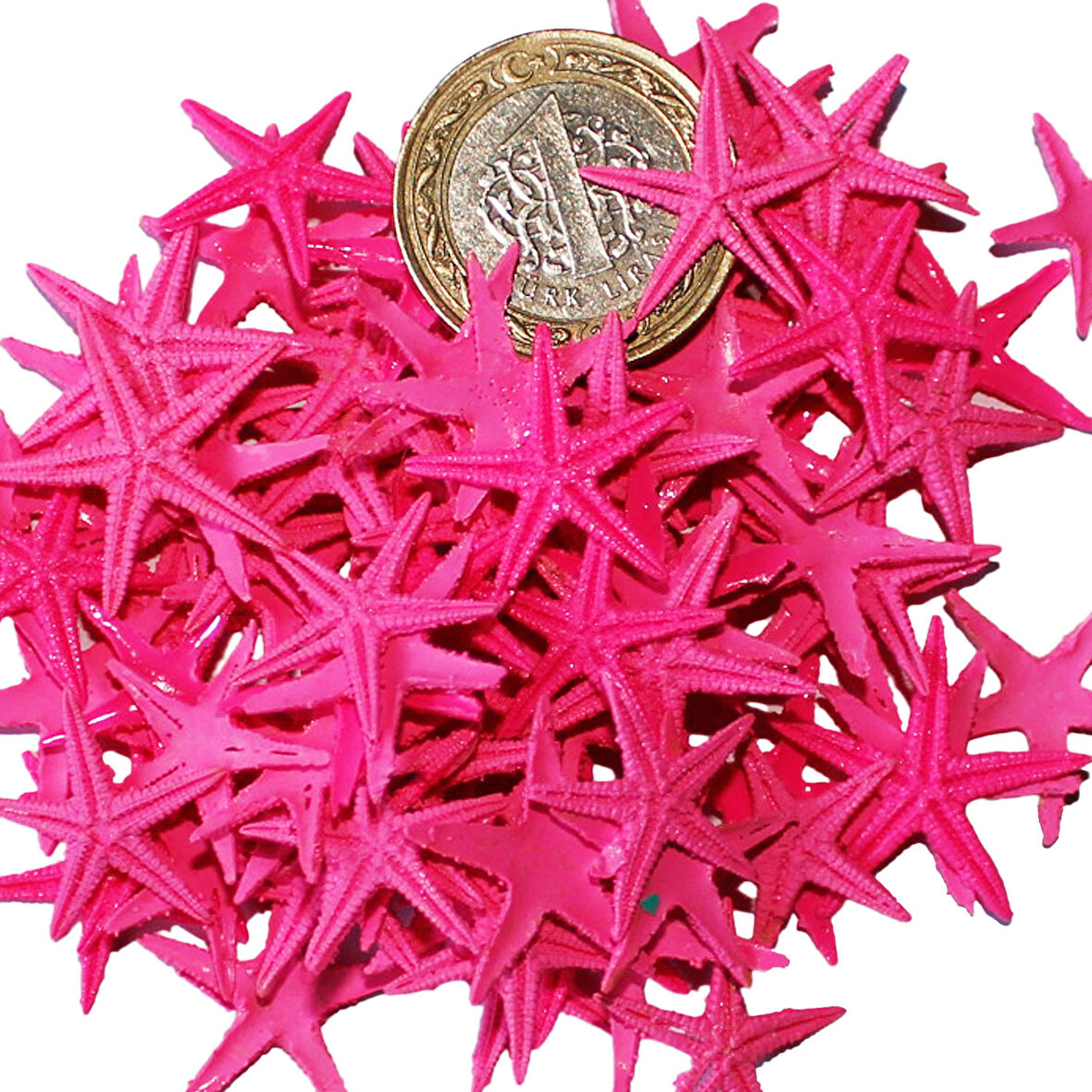 Polyester Deniz Yıldızı Minik Boy  0.5 CM- 1.5 CM (100 Adet)  Pembe