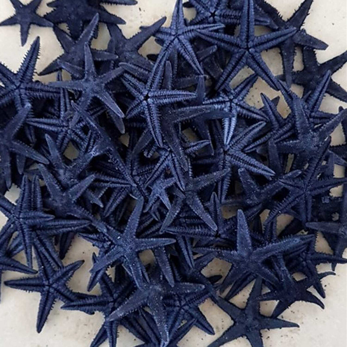 Naturel Deniz Yıldızı Minik Boy 0.5 Cm -1.5 Cm (100 Adet)  Mavi