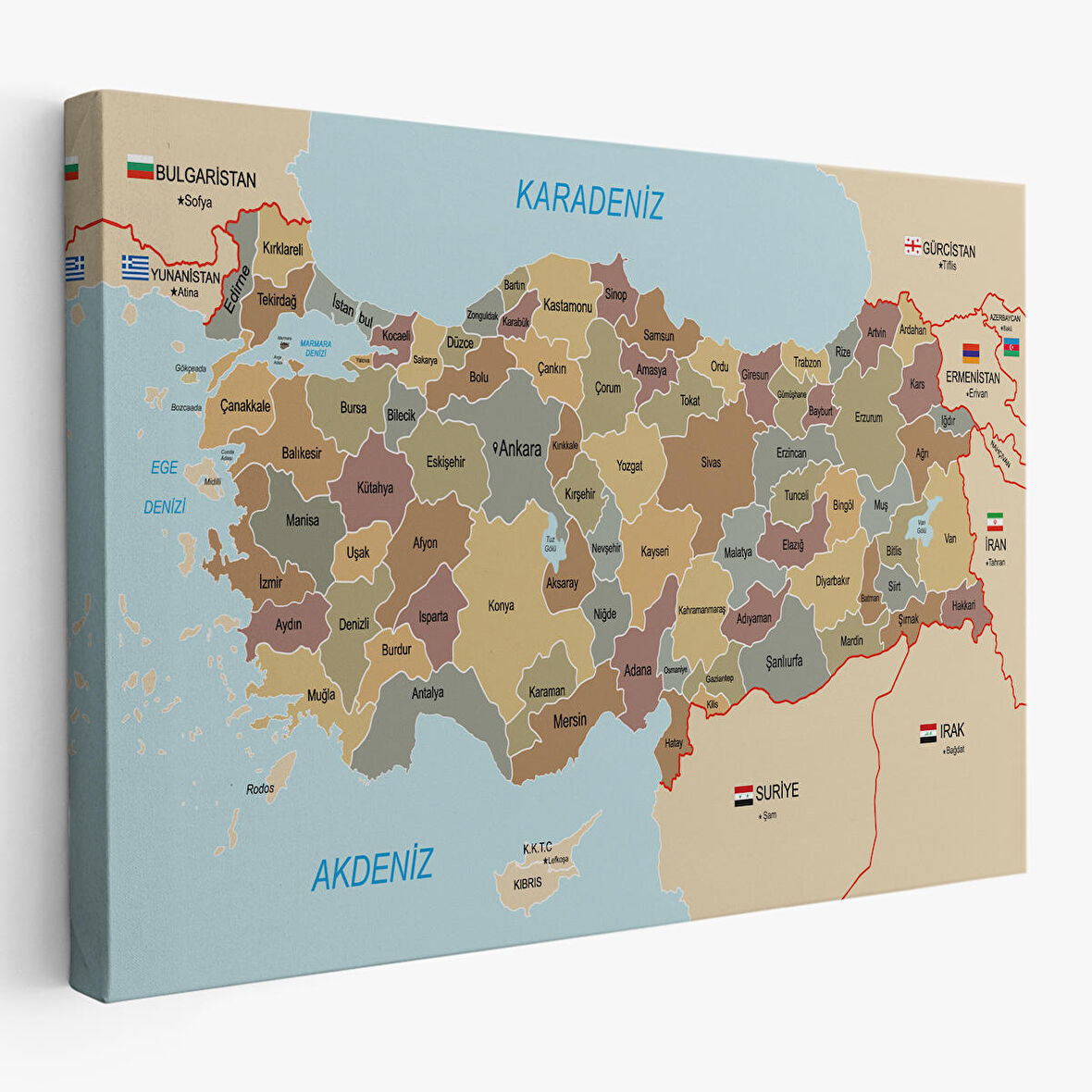 Harita Sepeti Türkiye Haritası Kanvas Tablo Sınır Komşulu Eğitici Dekoratif Tablo 3106