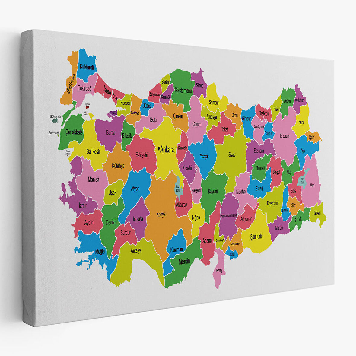 Harita Sepeti Türkiye Haritası Kanvas Tablo Eğitici ve Öretici Dekoratif Tablo Tablo 3113