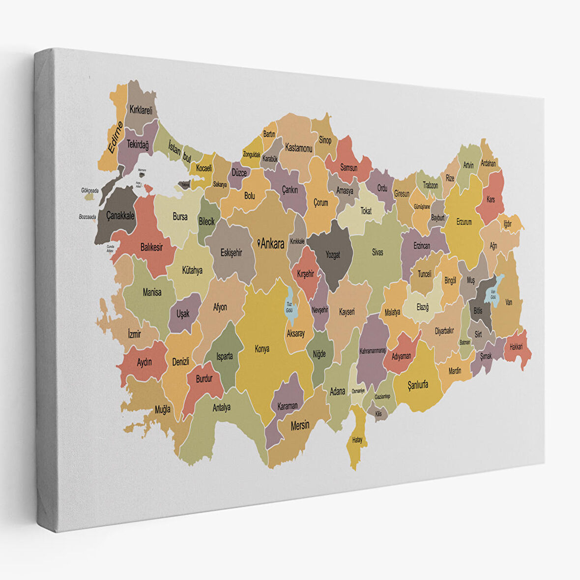 Harita Sepeti Türkiye Haritası Kanvas Tablo Eğitici ve Öretici Dekoratif Tablo Tablo 3126