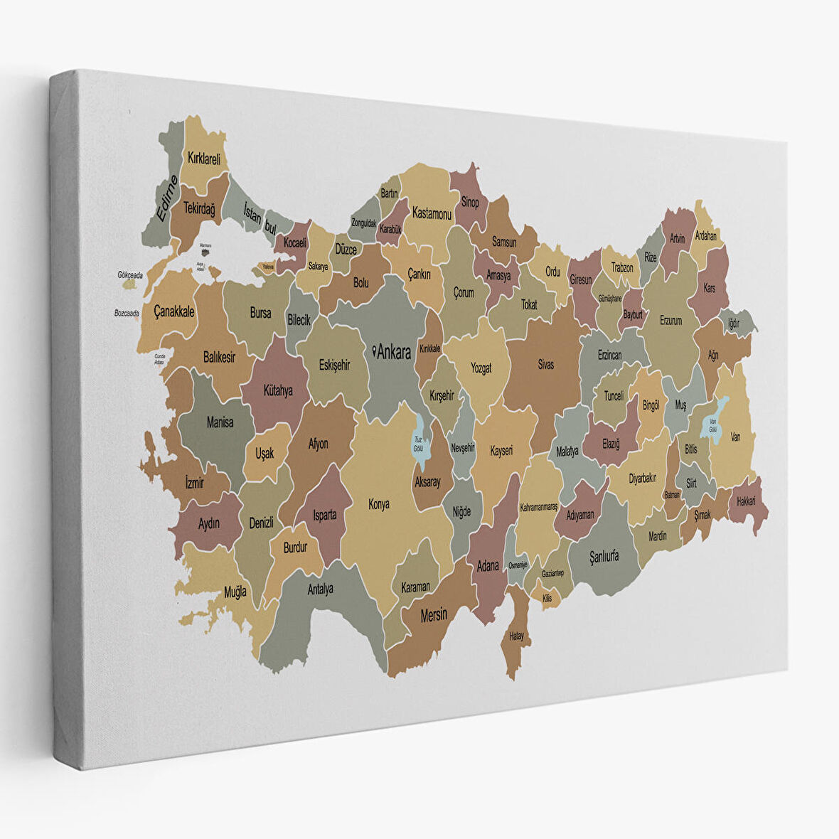 Harita Sepeti Türkiye Haritası Kanvas Tablo Eğitici ve Öretici Dekoratif Tablo Tablo 3134