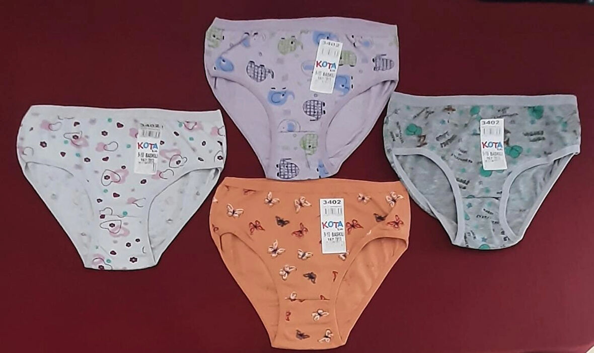 Kız Çocuk Slip Külot Paket İçeriği 4 Adet 