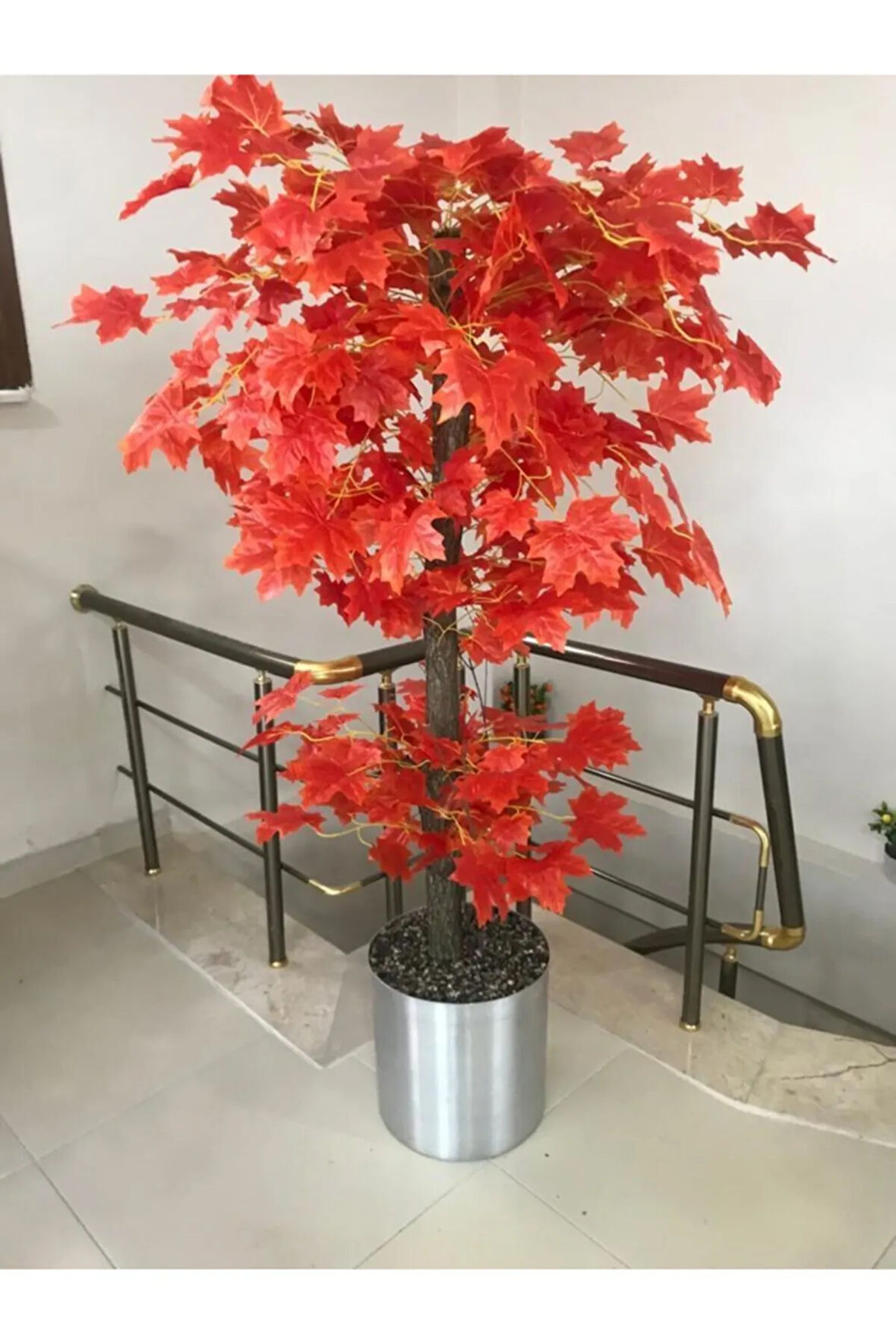Kızıl Hazan Yaprak Çınar Ağacı 180 Cm Metal Saksıda