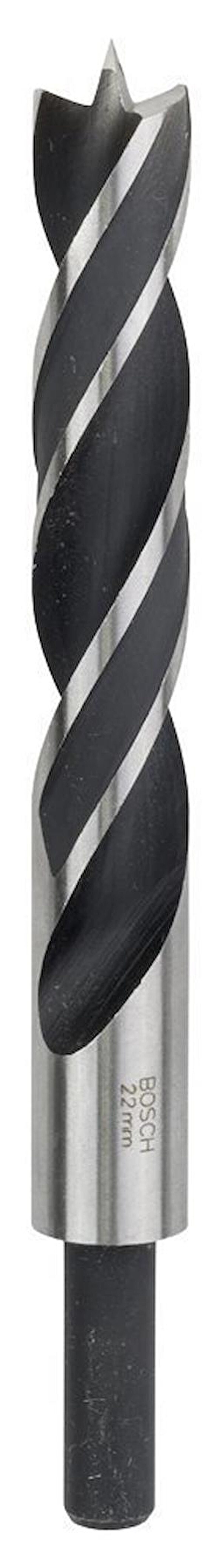 Bosch 22x210 mm Ahşap Matkap Ucu 2608597204