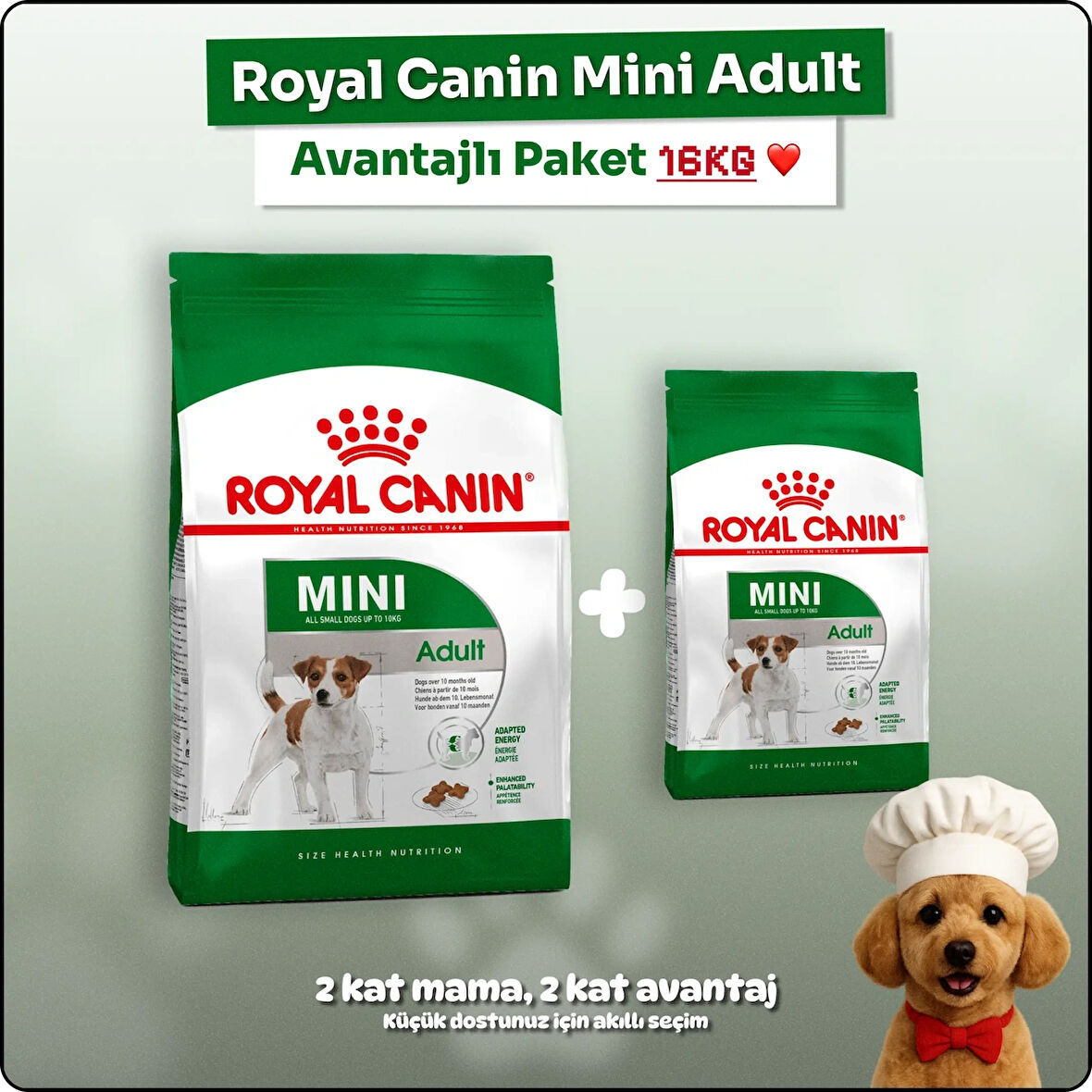 Royal Canin Mini Adult Küçük Irk Yetişkin Köpek Maması 16 kg - Avantaj Paketi (2*8kg)