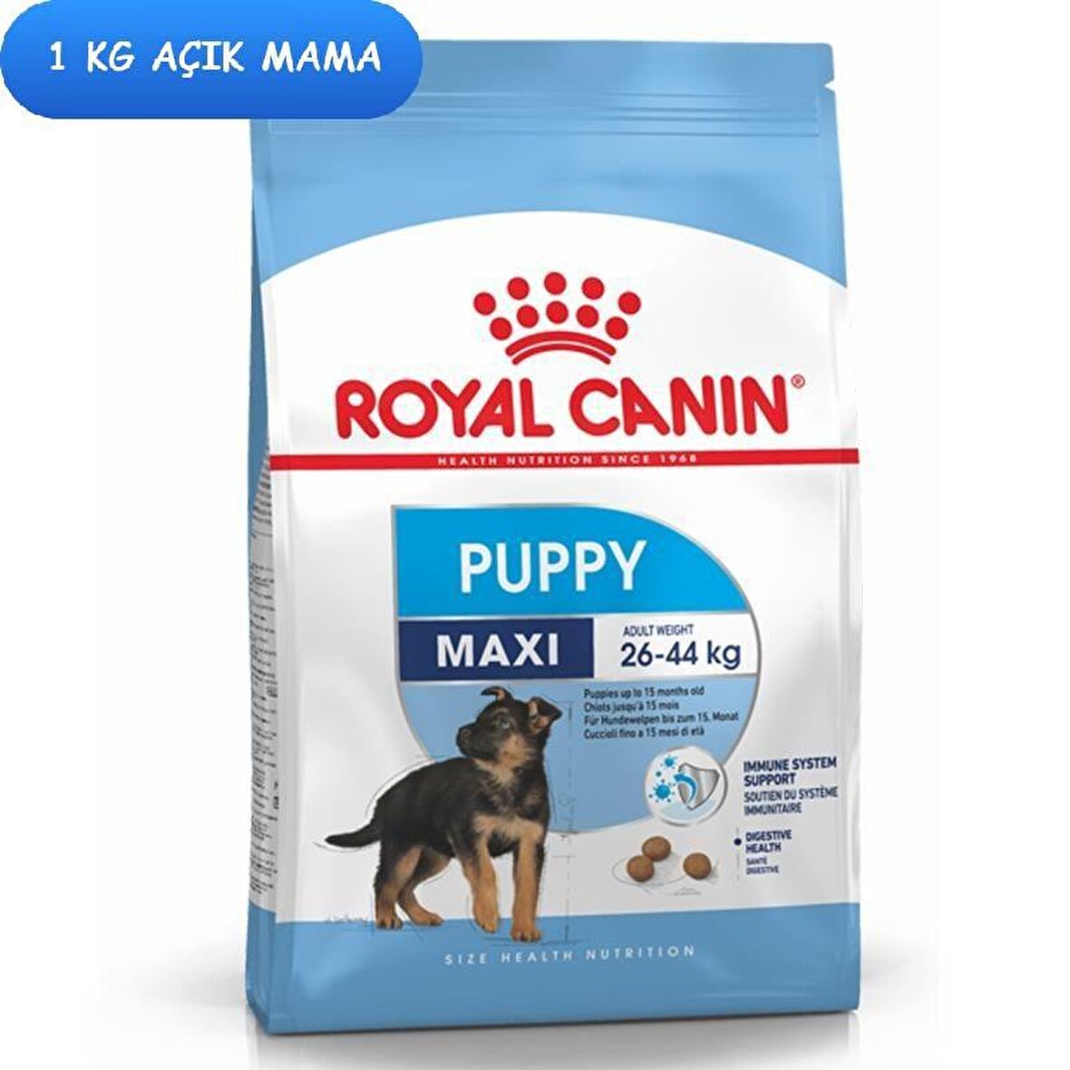 Royal Canin Tavuklu Yetişkin Açık Yaş Köpek Maması 1 kg