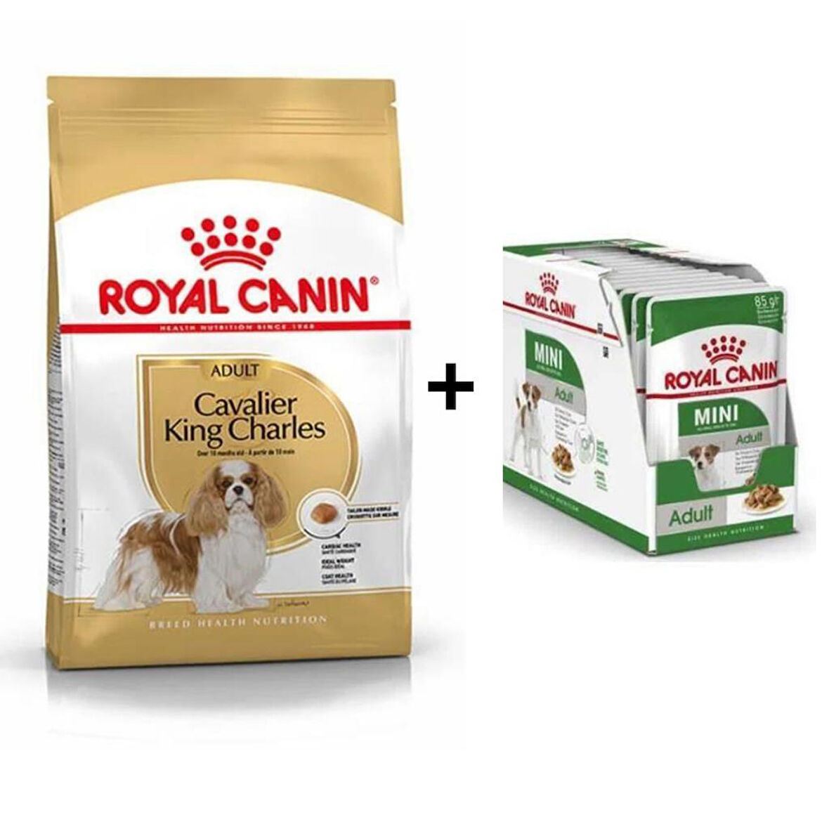 Royal Canin Cavalier King Charles  Yetişkin Köpek Maması 1,5 kg + 12 Adet Yaş Mama