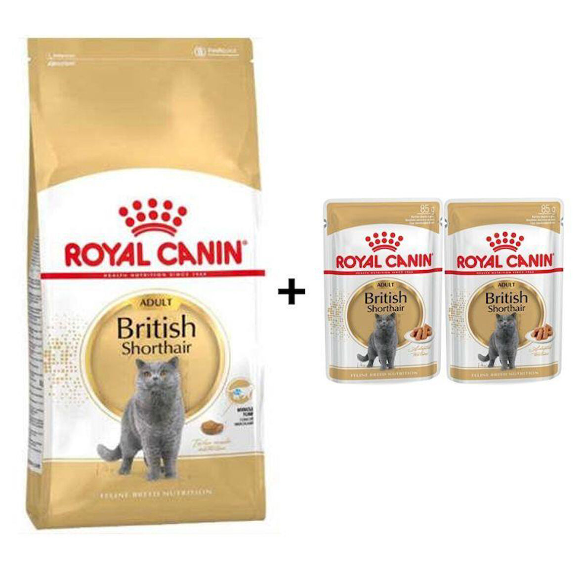 Royal Canin British Shorthair Yetişkin Kedi Maması 2 kg + 2 Adet Yaş Mama Hediye