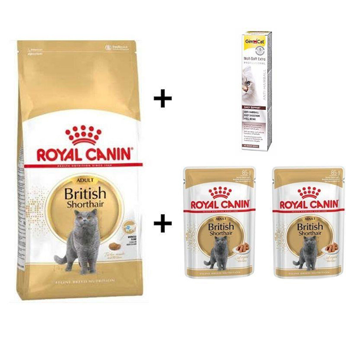 Royal Canin British Shorthair Yetişkin Kedi Maması 4 kg +2 Adet RC Yaş Mama 85 Gr + 20 gr GimCat Malt 