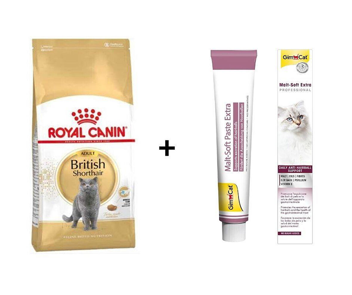 Royal Canin British Shorthair Yetişkin Kedi Maması 10 kg + Gimcat Malt 100 Gr