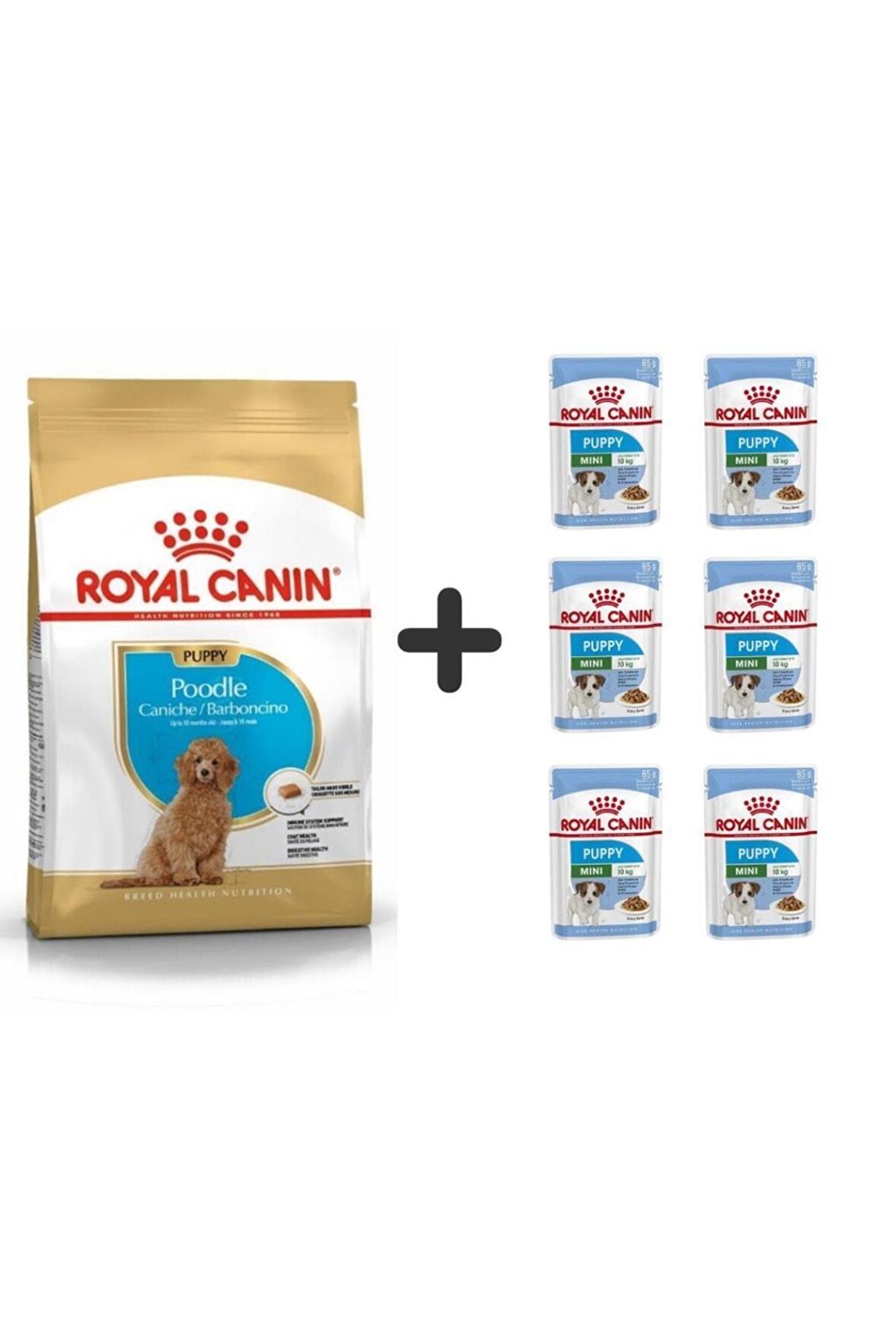 Poodle Puppy Köpek Maması 3 Kg + 6 Adet Yaş Mama