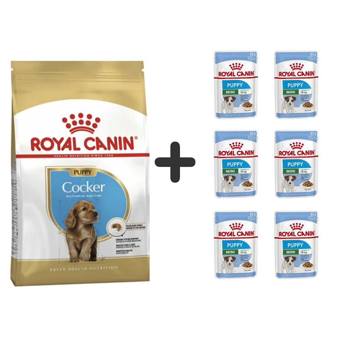 Royal Canin Cocker Junior Yavru Köpek Maması 3 kg + 6 Adet Yaş Mama