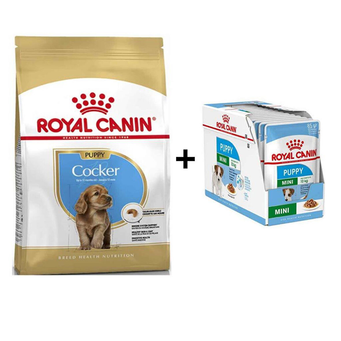 Royal Canin Cocker Junior Yavru Köpek Maması 3 kg + 12 Adet Yaş Mama