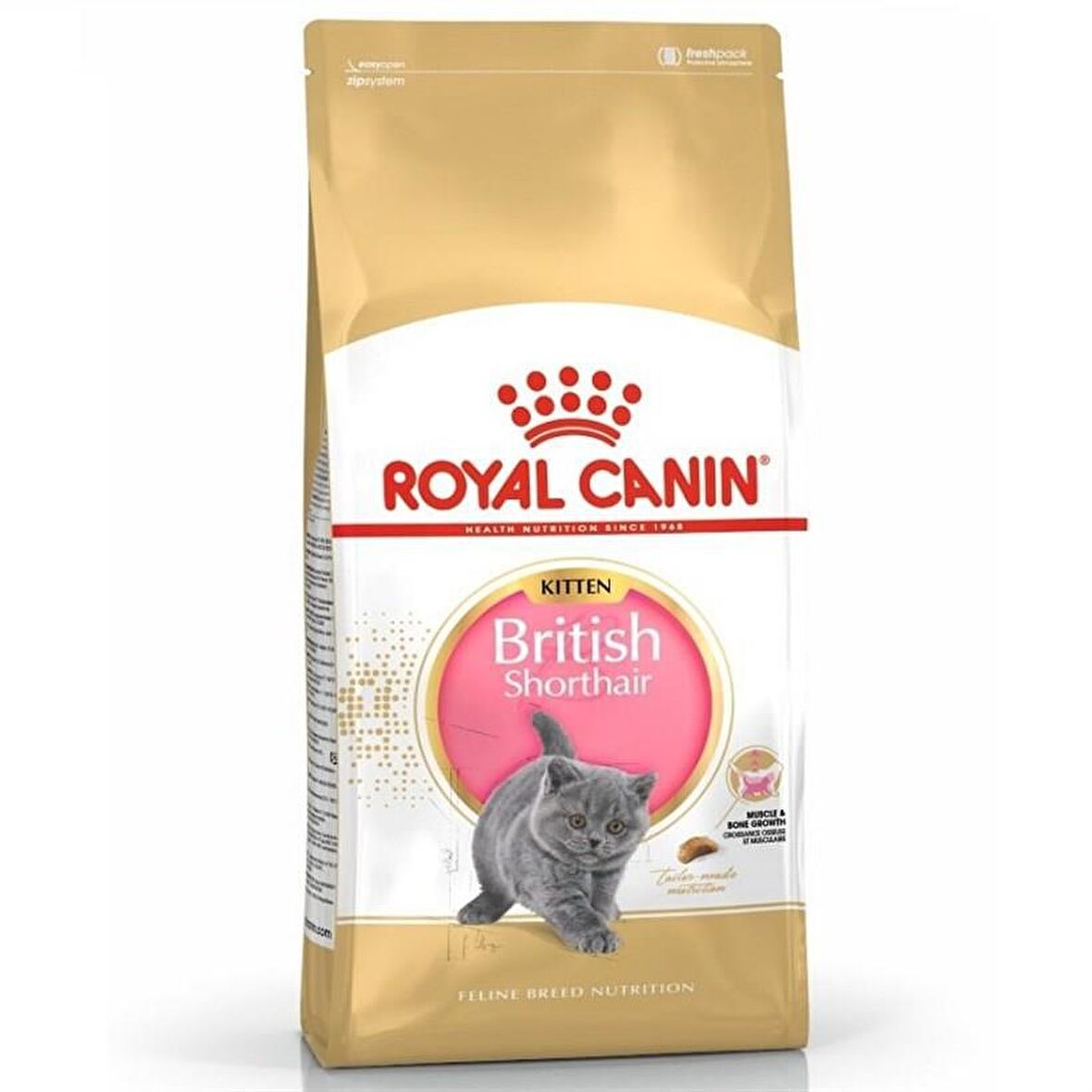 Royal Canin Kitten British Shorthair Yavru Kedi Maması 2 Kg