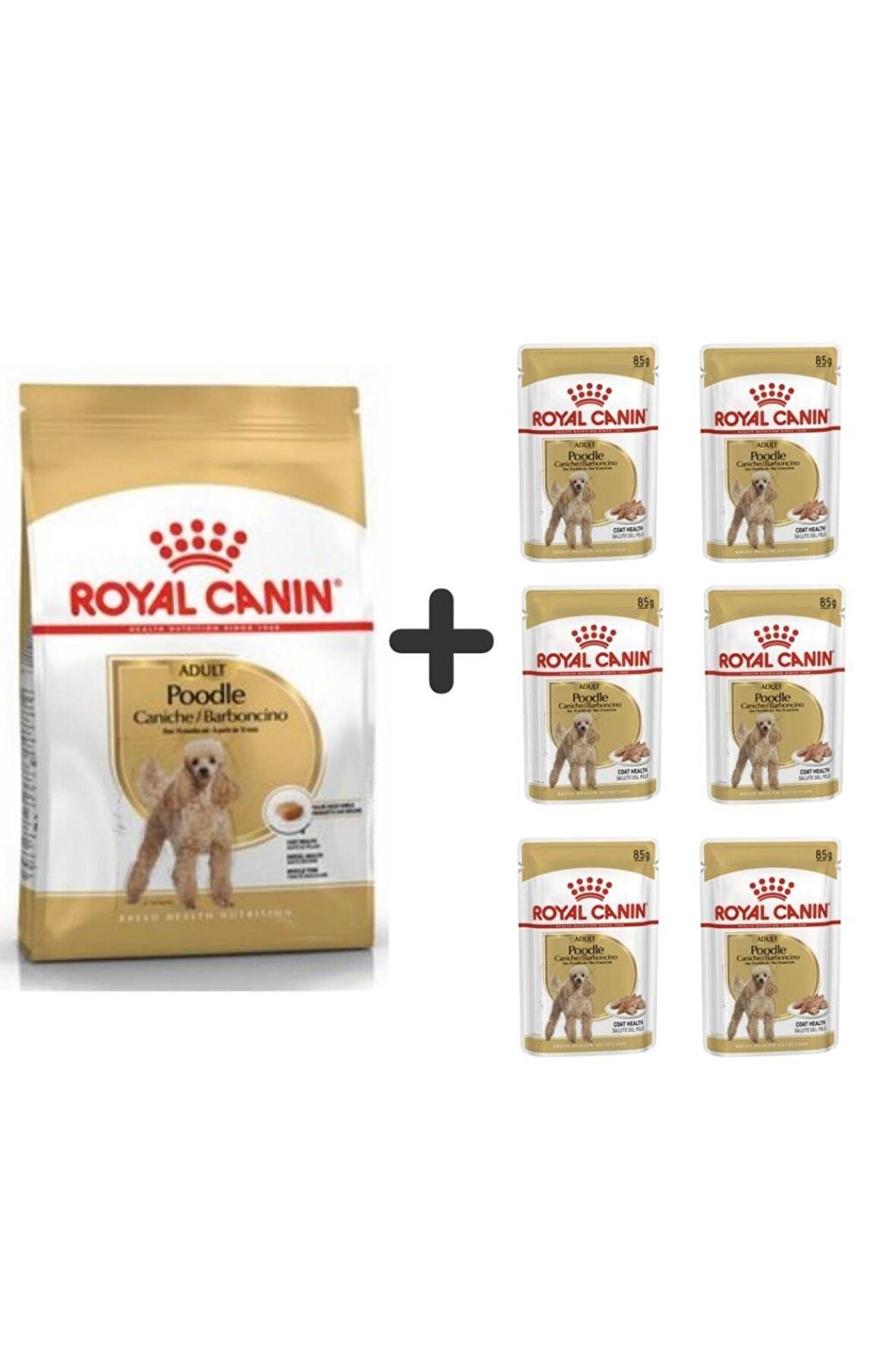 Poodle Adult Köpek Maması 3 Kg + 6 Adet Yaş Mama