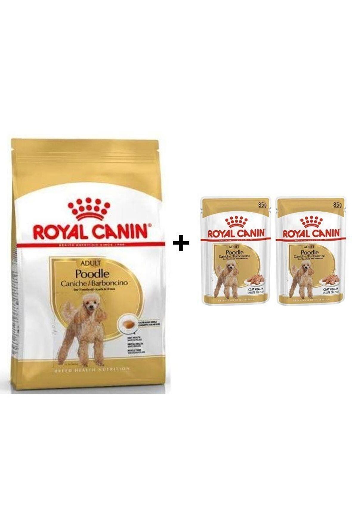 Poodle Adult Köpek Maması 3 kg + 2 Adet Yaş Mama