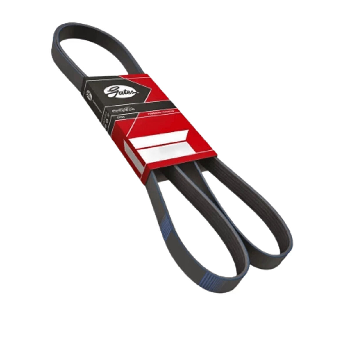 V Kayışı – 4PK855 Wisco - Volkswagen Passat A4 A6 97 Ve Sonrası Uyumlu