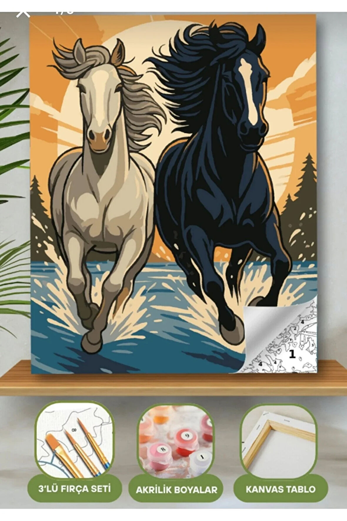 Sayılarla Boyama Seti 40x50 Cm (Çıtalı) Fırça Boya Dahil Numaralı Tuval Beyaz ve Siyah At