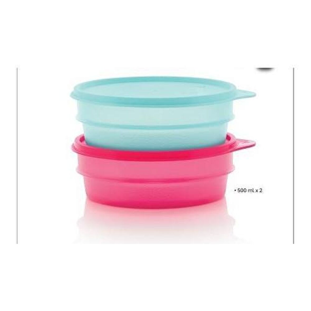 TUPPERWARE MODÜLER 2Lİ SAKLAMA KAPLARI