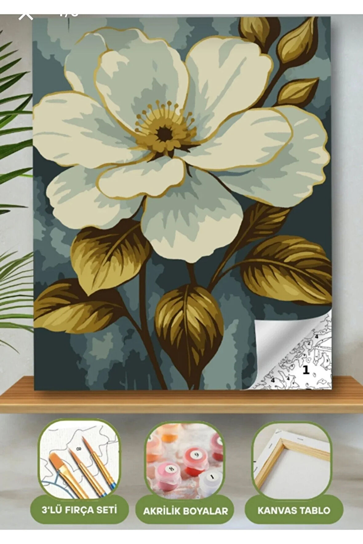 Sayılarla Boyama Seti 40x50 Cm (Çıtalı) Fırça Boya Dahil Numaralı Tuval Beyaz Çiçek