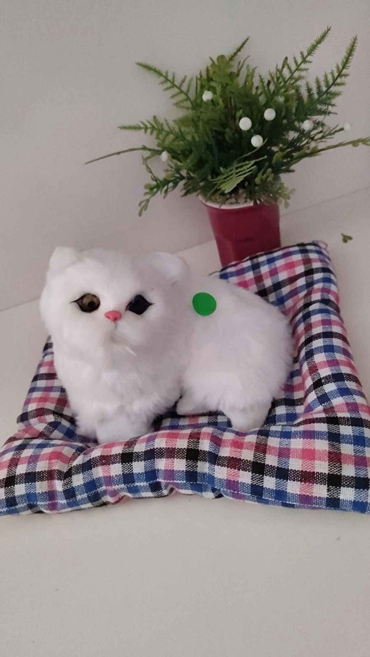  Sevimli Sesli Yatakta Yatan Kedicik Büyük Boy 25 CM MİNDER İLE BİTİŞİKTİR