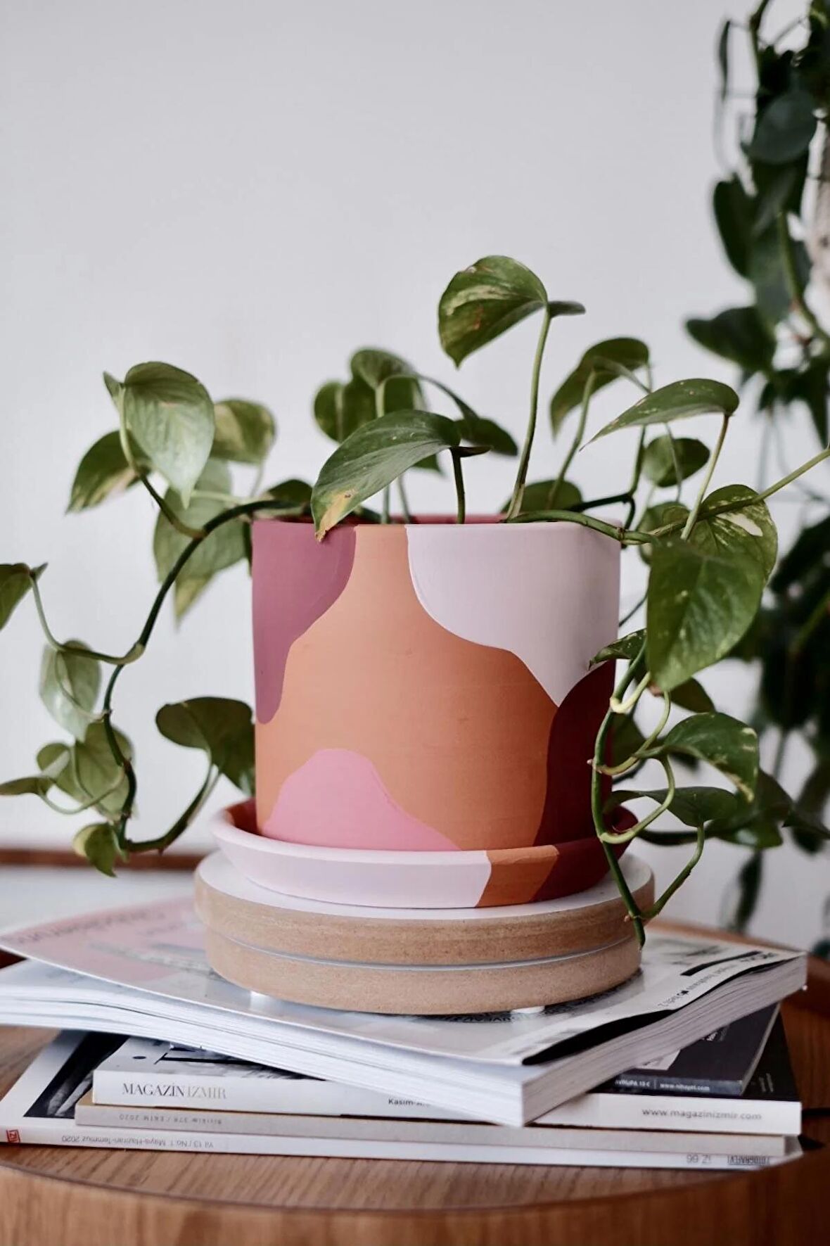 Terracotta Saksı Pembenin Tonları