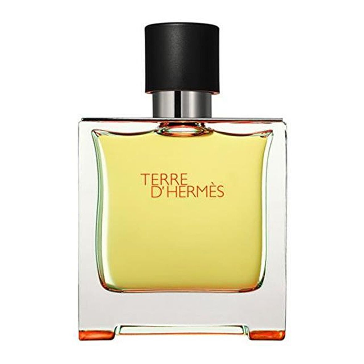 Hermes Terre D'Hermes EDT Çiçeksi Erkek Parfüm 100 ml  