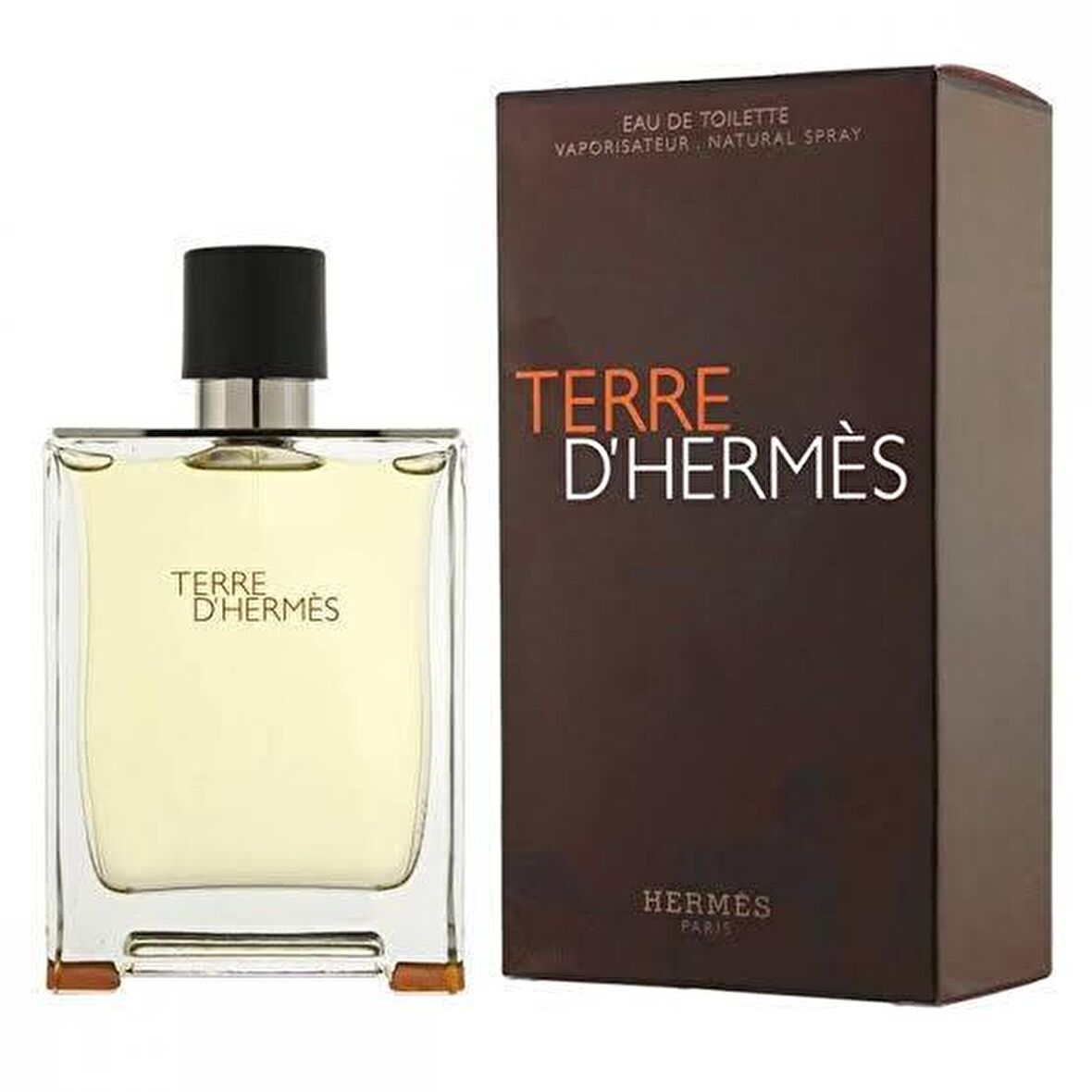 Hermes Terre D'Hermes EDT 100 ml Erkek Parfümü