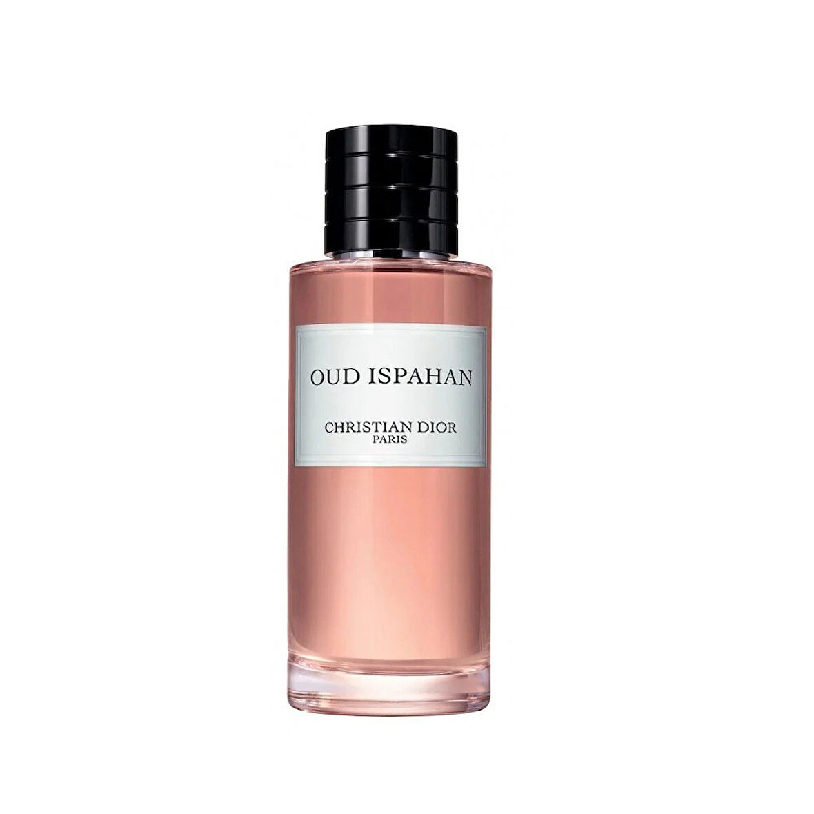 Dior Oud Ispahan EDP 100 ml