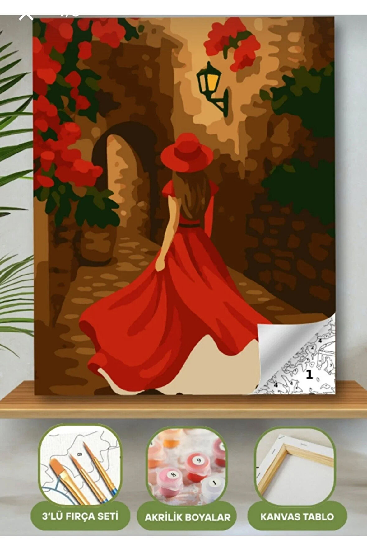 Sayılarla Boyama Seti 40x50 Cm (Çıtalı) Fırça Boya Dahil Numaralı Tuval Kırmızı Elbiseli Kız