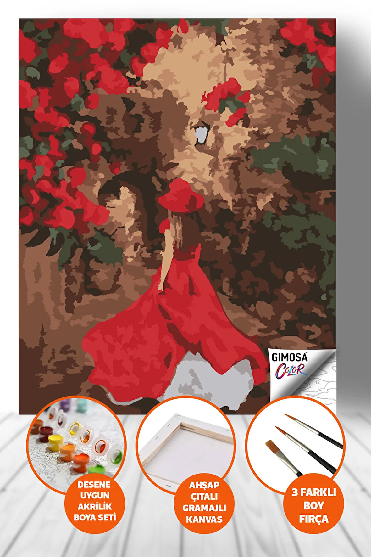 Color Kırmızı Elbiseli Kadın Sayılarla Boyama Seti, Yetişkin Boyama, 40x50 Tuval, Kendin Yap Hobi