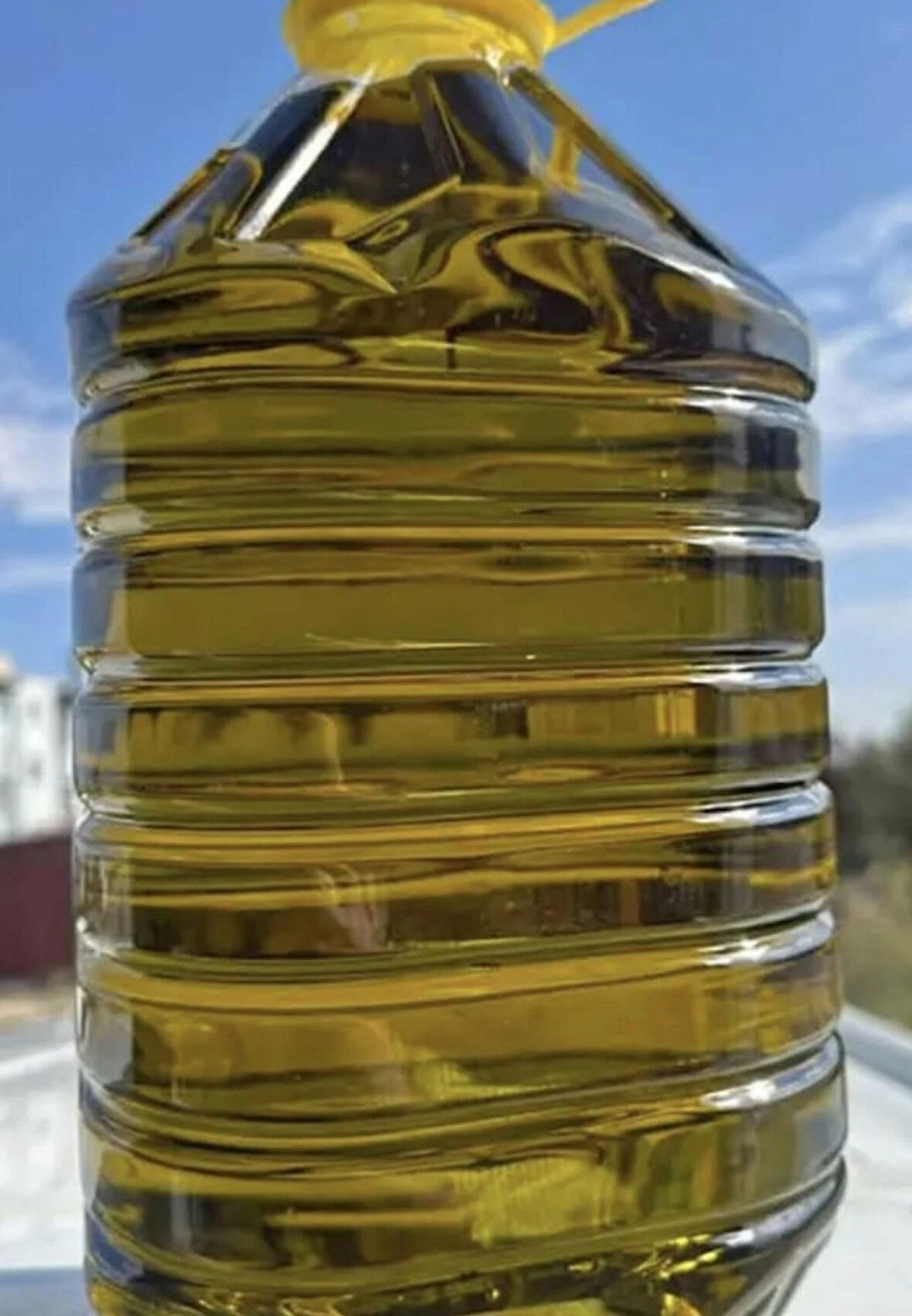 Doğal Zeytin Yağı 5Lt Pet Şişe