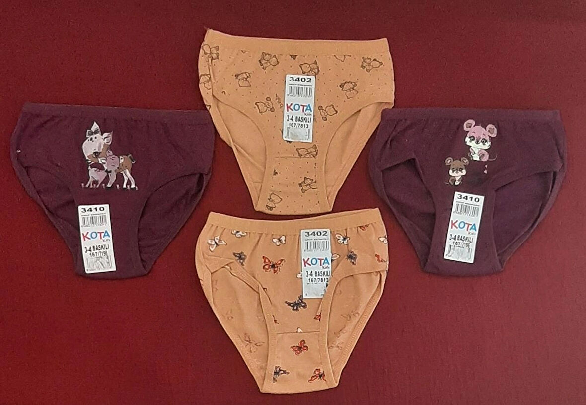 Kız Çocuk Slip Külot Paket İçeriği 4 Adet 