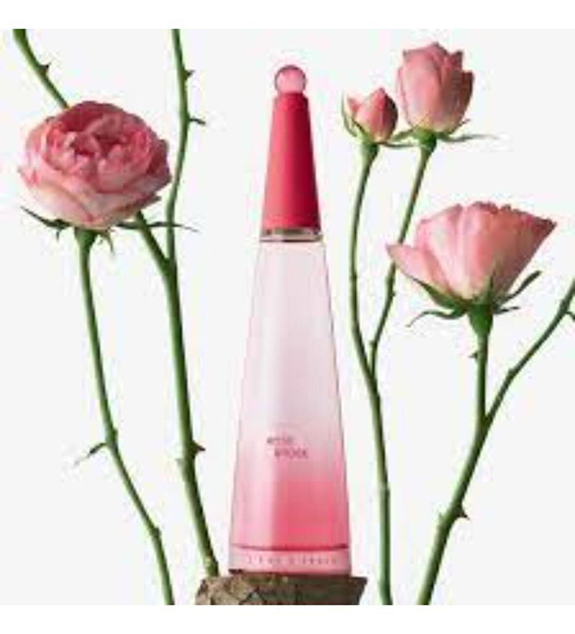 Issey Miyake Ladies L'eau D'issey Rose & Rose EDP Refill 90 ml