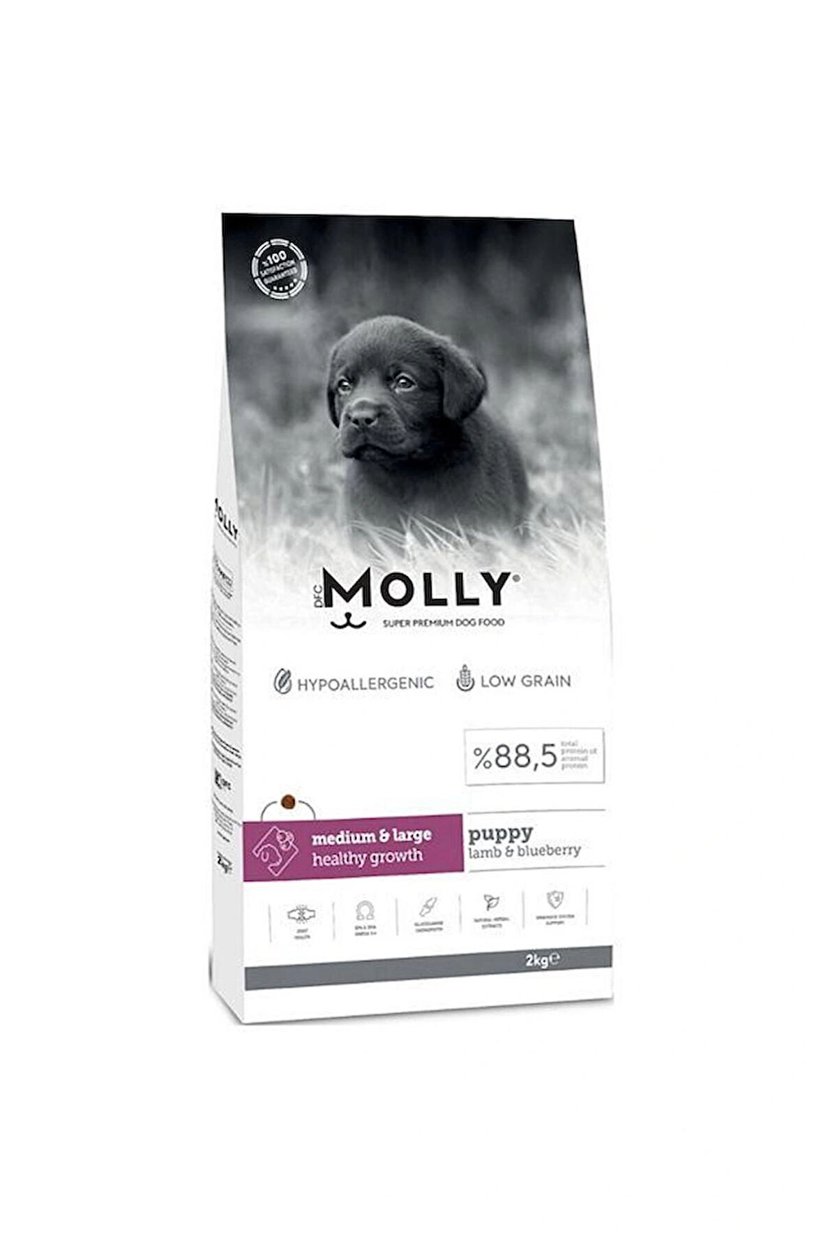 Molly Medium Adult 2 kg Kuzu Etli & Yaban Mersinli Orta ve Büyük Irk Yetişkin Köpek Maması