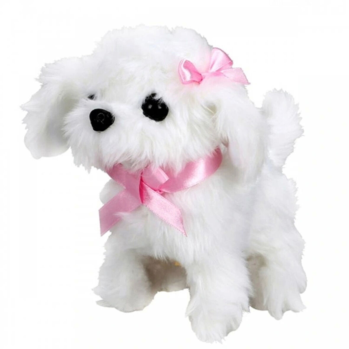 Nessiworld  Sunman Sevimli Köpek Maltese