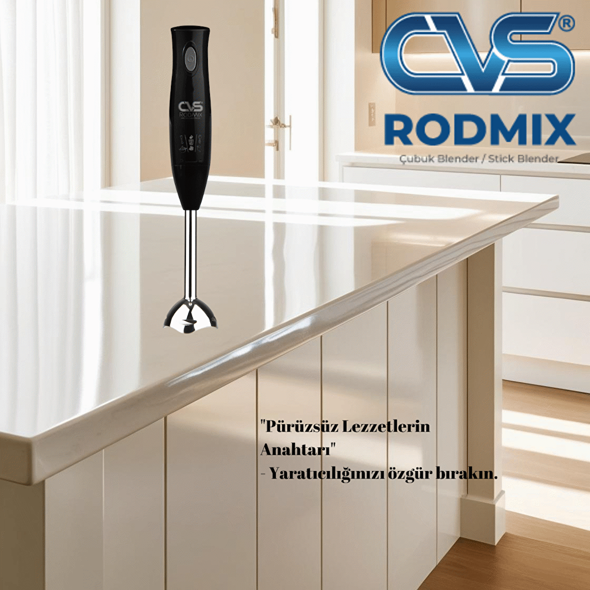 CVS DN 1251 Rodmix Çubuk Blender