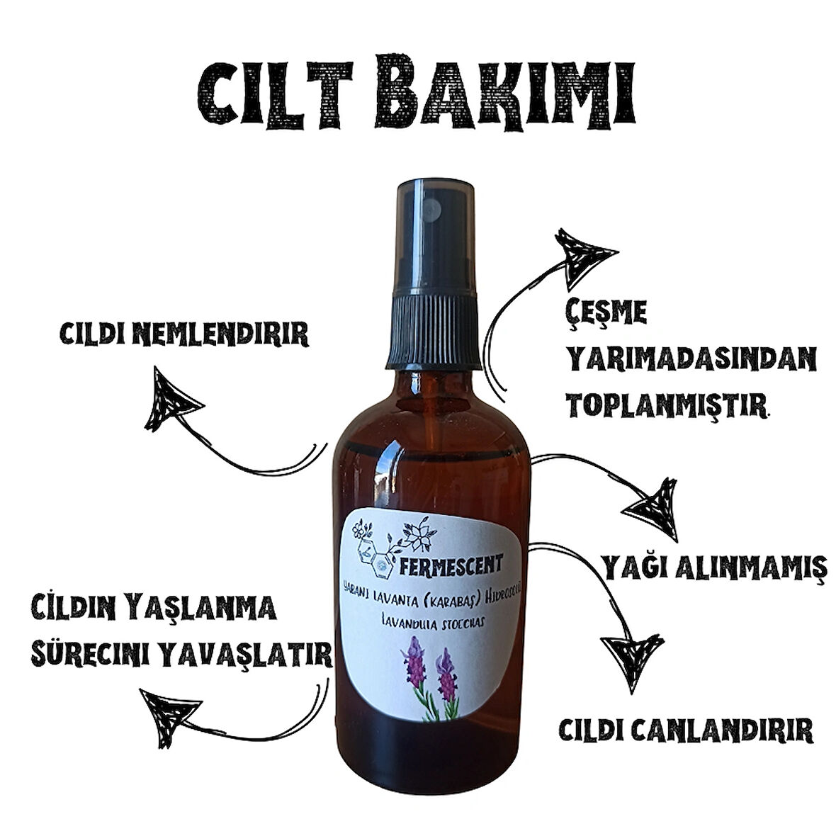  Yabani Lavanta Karabaş Hidrosolü Suyu - Anti Aging Yaşlanma Karşıtı Cilt Nemlendirici 100 ml