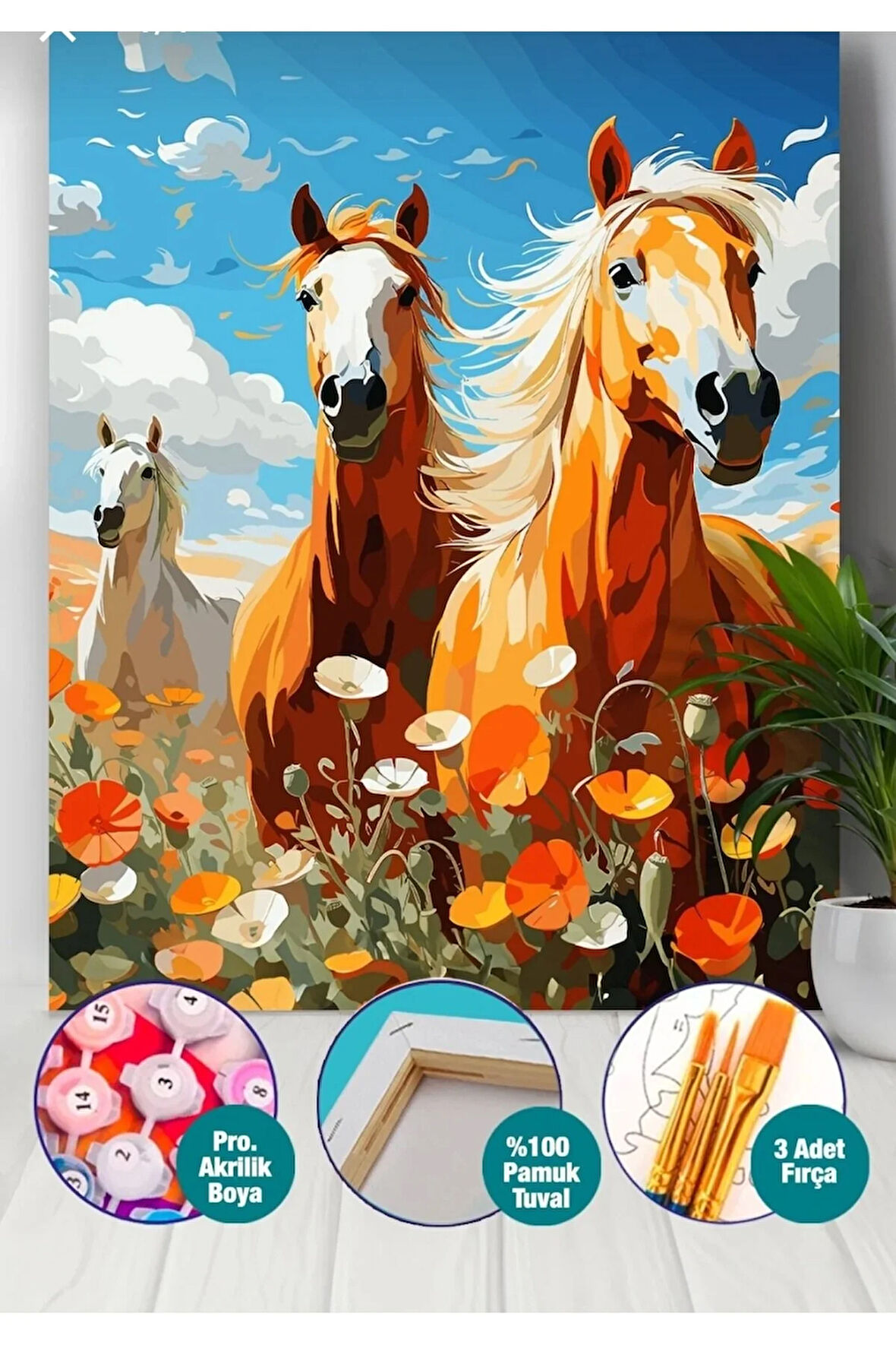 Sayılarla Boyama Seti 40x50 Cm (Çıtalı) Fırça Boya Dahil Numaralı Tuval Üç At