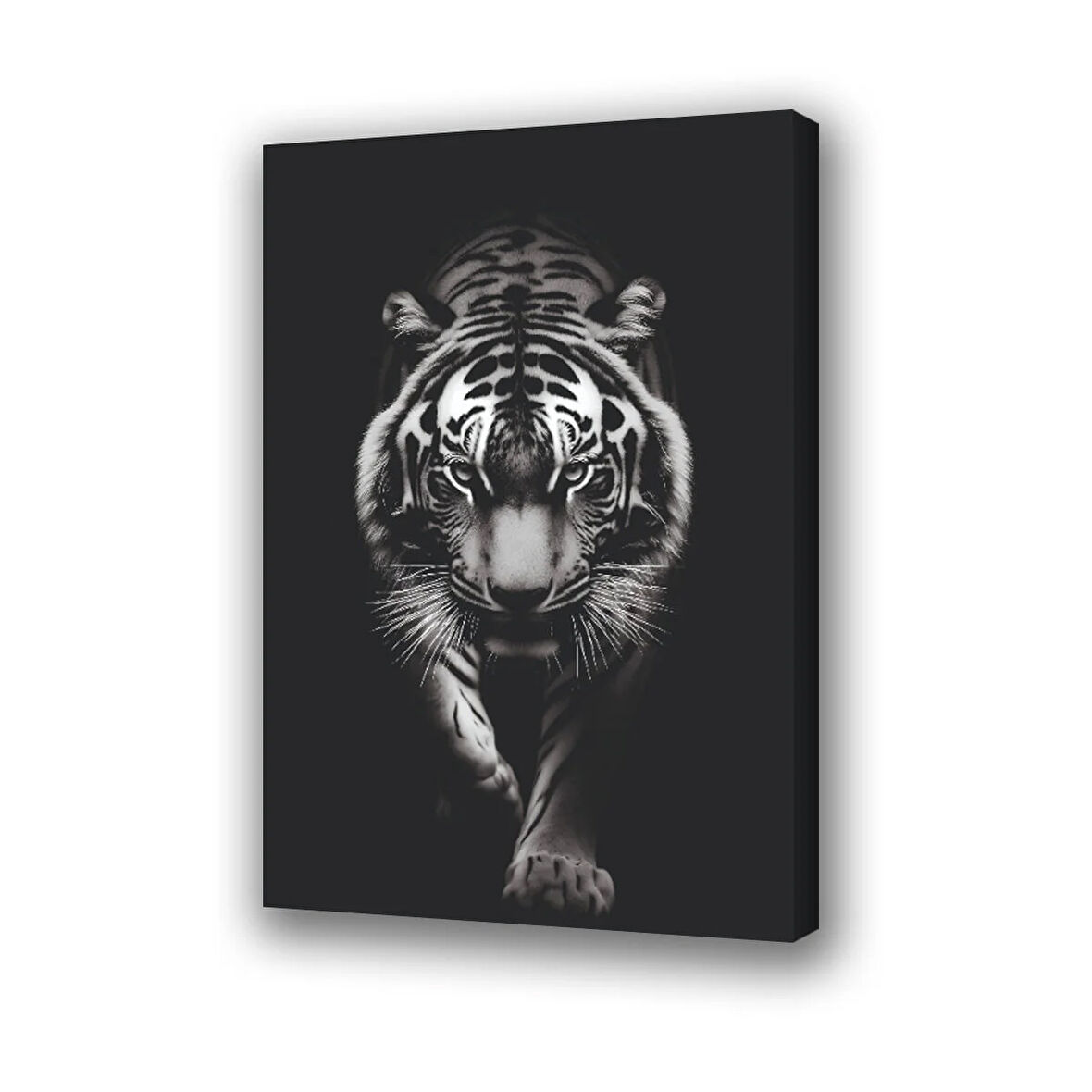 siyah zeminde kaplan baskılı kanvas duvar tablosu