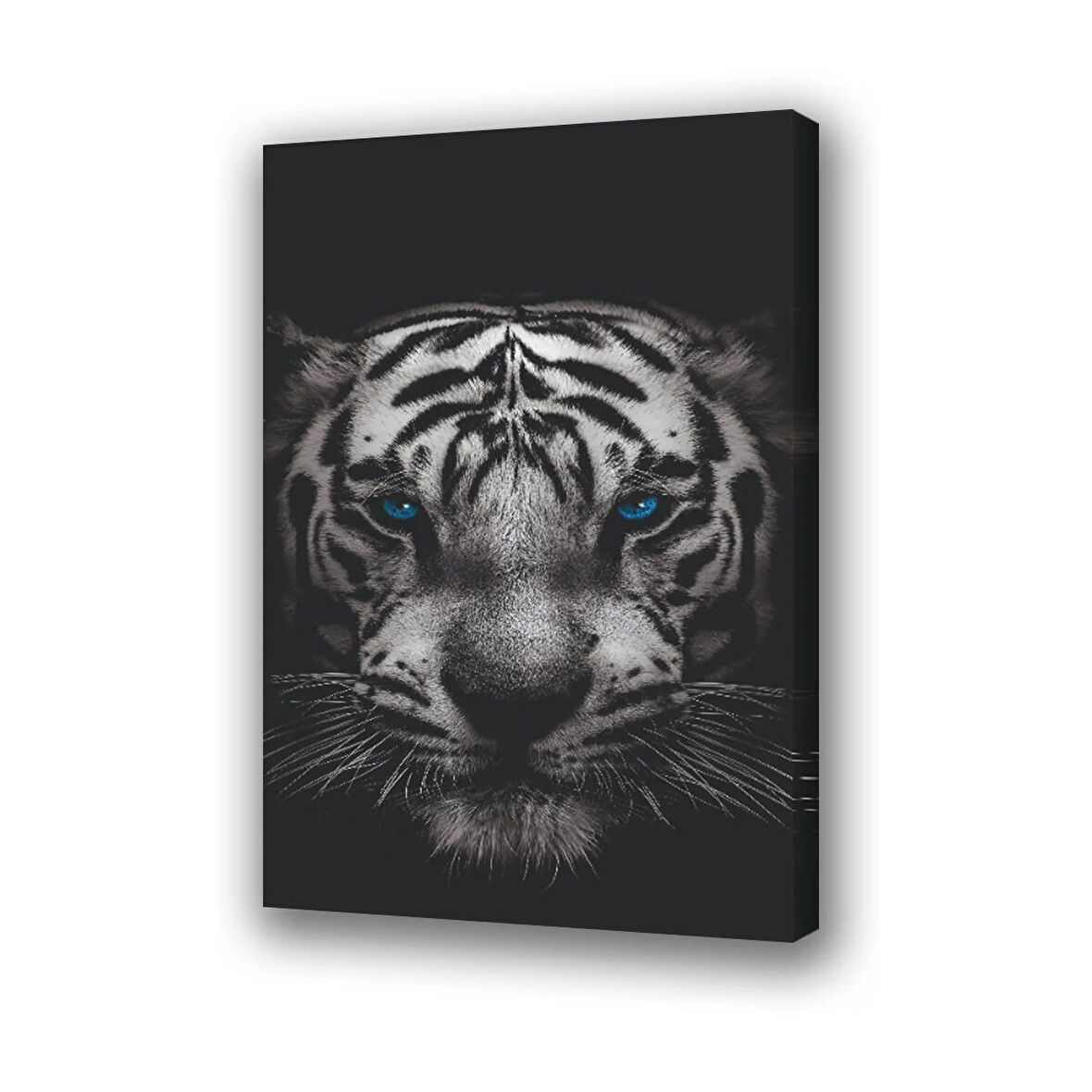 Mavi gözlü kaplan baskılı kanvas duvar tablosu