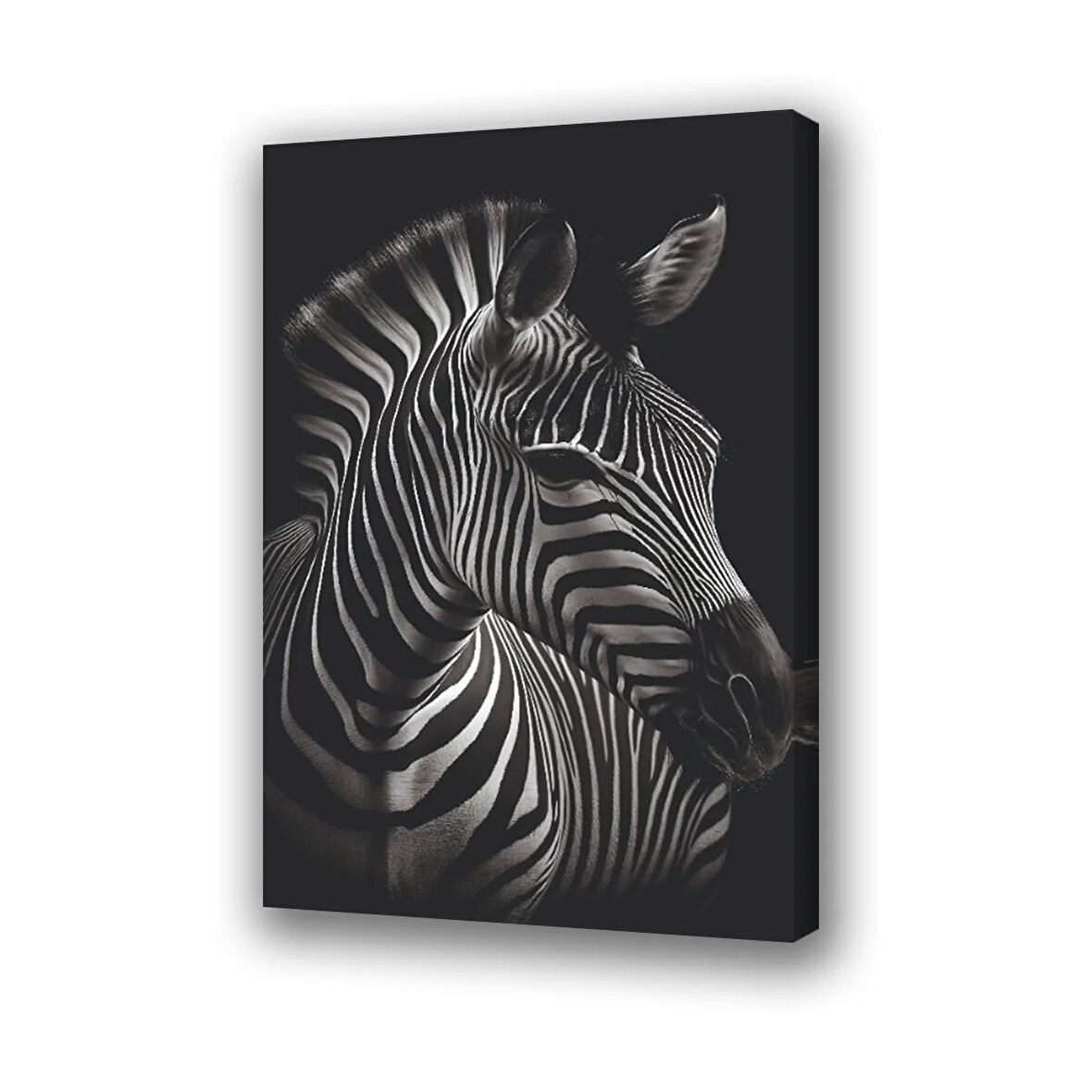 zebra siyah arka planlı baskılı kanvas duvar tablosu