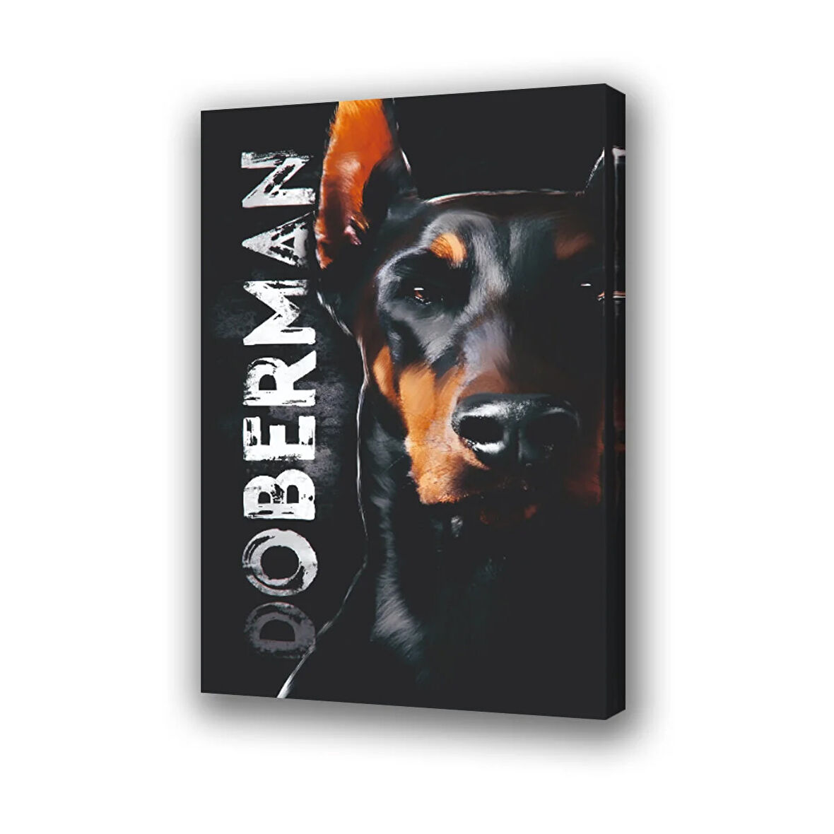 döberman köpek baskılı kanvas duvar tablosu